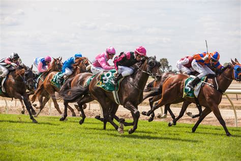 horse racing.